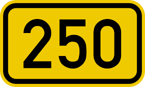 250e wedstrijd Roy Peeters